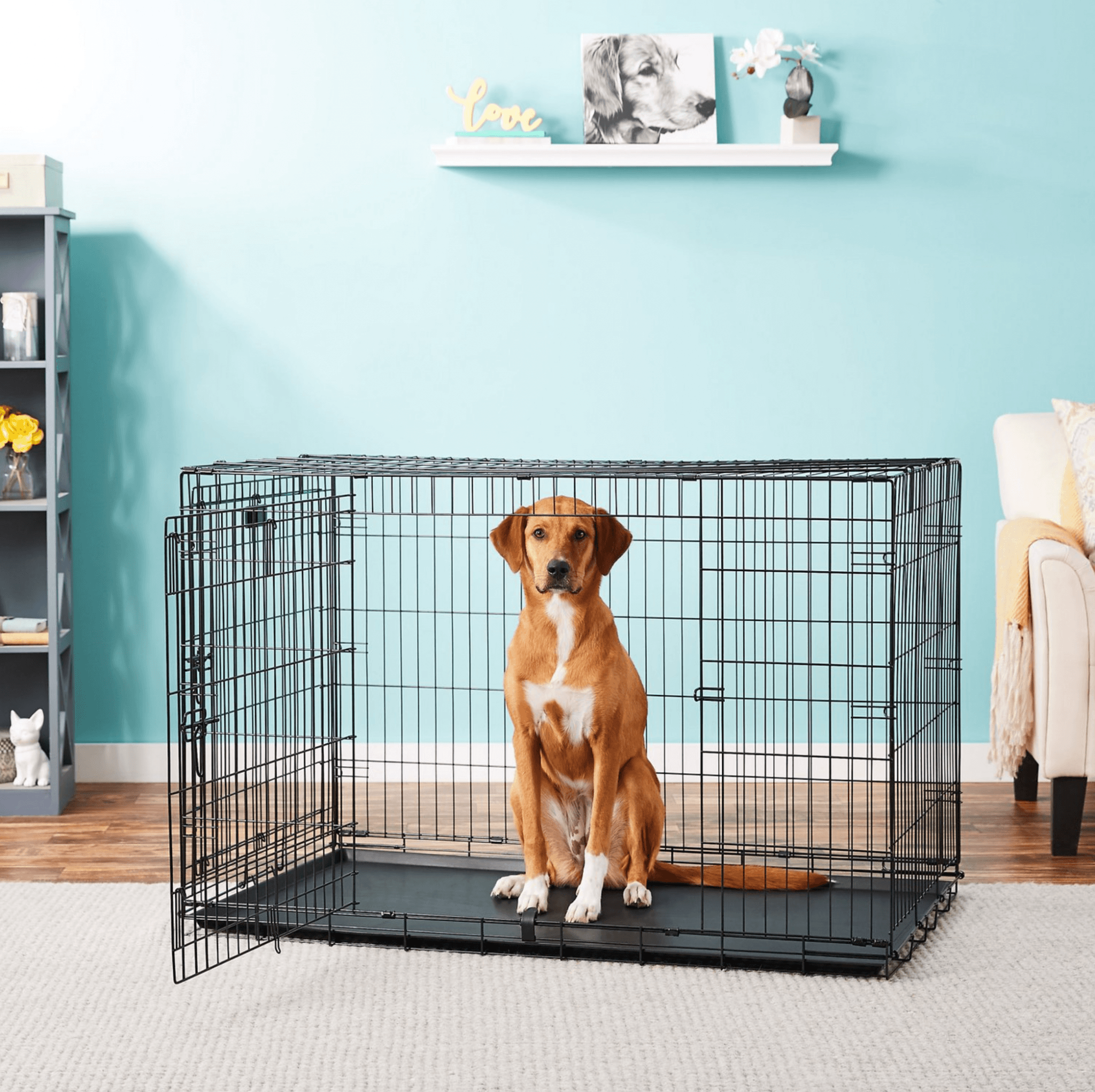 DogCratesDepot Extra Extra Large 48 Double Door Folding Metal Dog or Pet Crate Kennel with Tray Dog Crates Depot