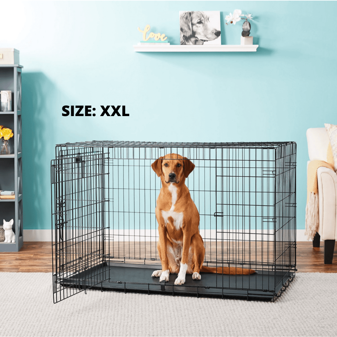 Premium Dog Crate - Special Discount - Dog Crates Depot®