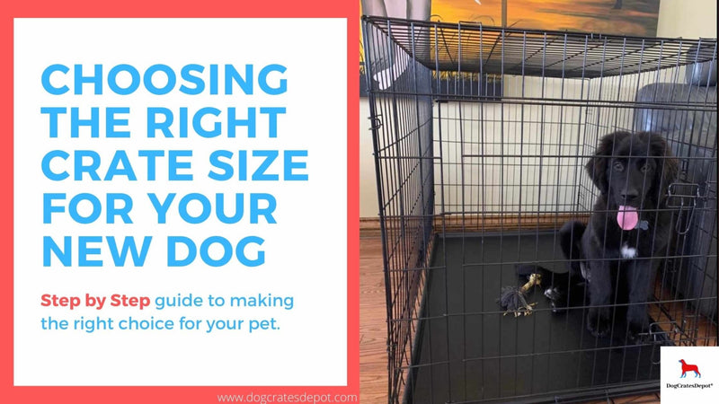 Choosing the Right Crate or Kennel Size. | Dog Crates Depot®