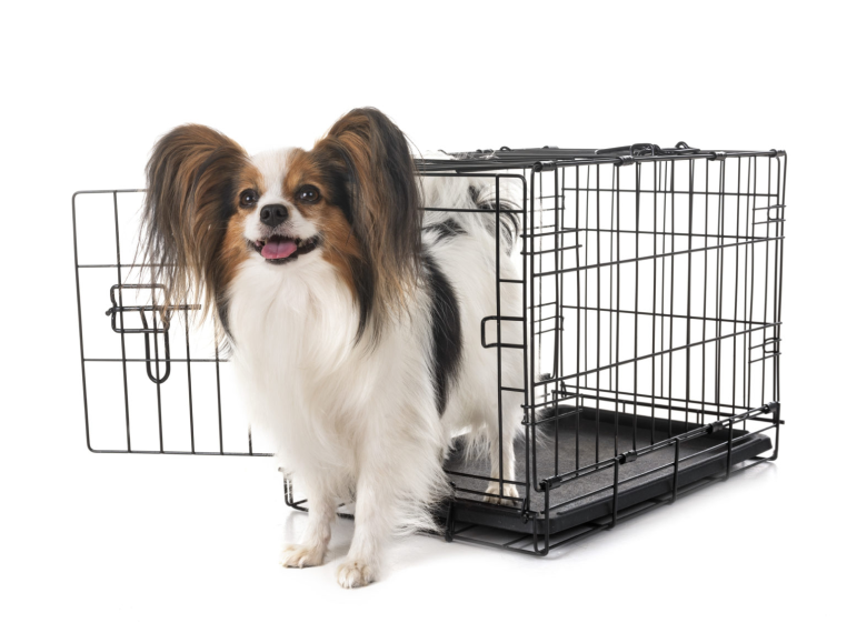 We Have Crates For All Dog Sizes