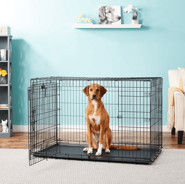 DogCratesDepot® Extra-Extra Large (48'') Double-Door Folding Metal Dog or Pet Crate Kennel with Tray - Dog Crates Depot®